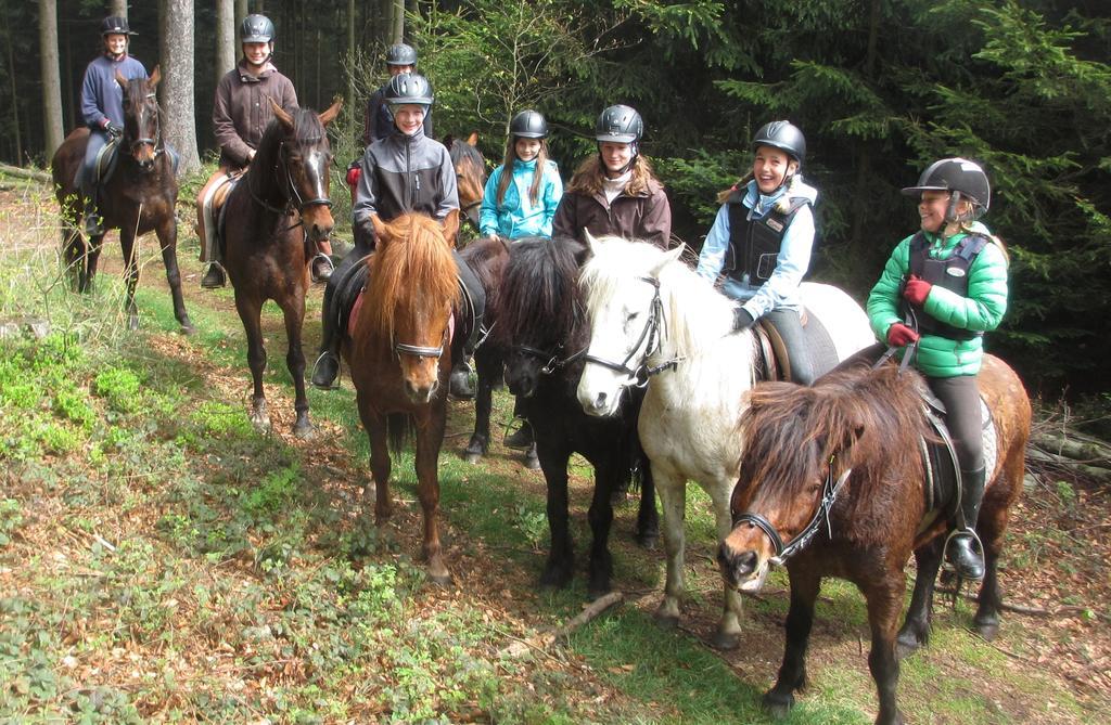 Pferdehof Koaser Minerl Ampflwang im Hausruckwald Εξωτερικό φωτογραφία